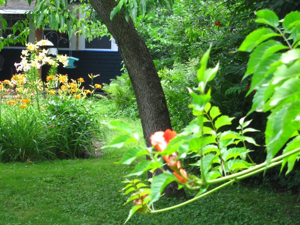 Baldwinsville Bed And Breakfast Eksteriør billede