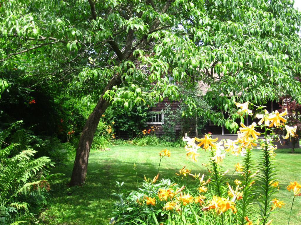 Baldwinsville Bed And Breakfast Eksteriør billede